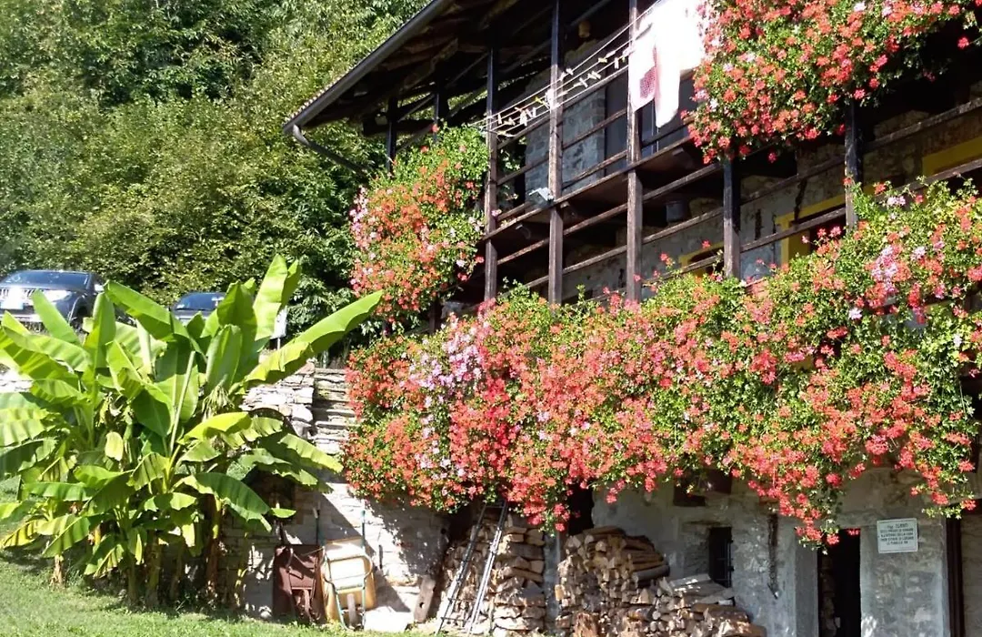 B&B La baita delle coccinelle-1